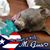 Angel Carrillo's profile image