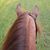 Andres Restrepo's profile image