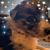 Jackie Scaroni's profile image