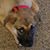 Lynne Van Horn Conoboy's profile image