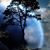 Nina Cottrell's profile image