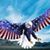 Michael Lucas's profile image