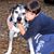 Carlos Gonzalez-Pola's profile image