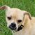 Becky Gilreath's profile image