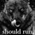 Ken Wilson's profile image