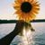 Dee Hohman's profile image