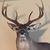 Mike Taylor's profile image