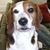 Cindy Knowles's profile image