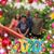 Marcy Cruz's profile image