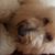 Greg Johnson's profile image