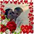 Taryn Mirandette's profile image