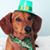 Lorri Weiskopf Redmon's profile image