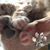 Jody M Wilson's profile image