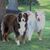 Debra Lynn Radford-Boehmer's profile image
