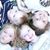 Suzi Bradshaw's profile image