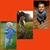 Susan Bruland Vincent's profile image
