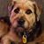 Joyce Megan's profile image