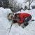 bomanda32's profile image