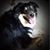 Jeff Niewinski's profile image