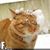 Carn Devanko Cahoon's profile image