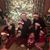 Nancy C Darnell's profile image