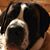 Cindy Bender's profile image