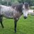 Judi Honabach-Fisher's profile image