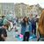 Shir Aharon's profile image