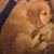Kelley Mobley Rubio's profile image