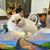 Kathy A Dottery's profile image