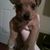 Shaun Lee Clark's profile image