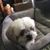 RoseMarie Sansone's profile image