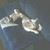 David Ledford's profile image