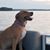 Beth Tarrer Larrabee's profile image