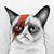 Melissa Zimmer's profile image