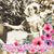 Kathy Gideon Grant's profile image