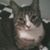 Melinda Troutman's profile image