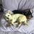 Patty Adamson's profile image