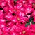 Mary Martin Keller's profile image