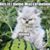 Nichole Nelson Hawkins's profile image
