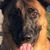 Melissa Vandine Kendrick's profile image