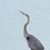 Sue Lavoie's profile image