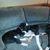 Wendy Updegrave's profile image