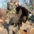 Rick Burras's profile image