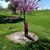 Bonnie Childers Stradley's profile image