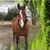 Kathy Mccall's profile image