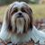 Angie Murray Miller's profile image