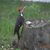 Linda Towns Thompson's profile image
