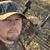 Jarrod Gruver's profile image