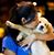 Nikita Dhar's profile image
